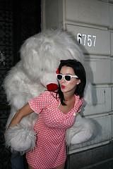 Galerie de Poze - Pussycat - Galerie foto