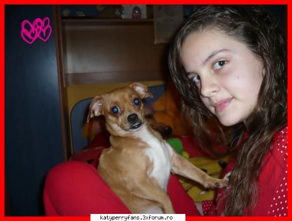 ***Winnie-Any*** - cutsu-cutsu meu:X Cleo - Despre tine